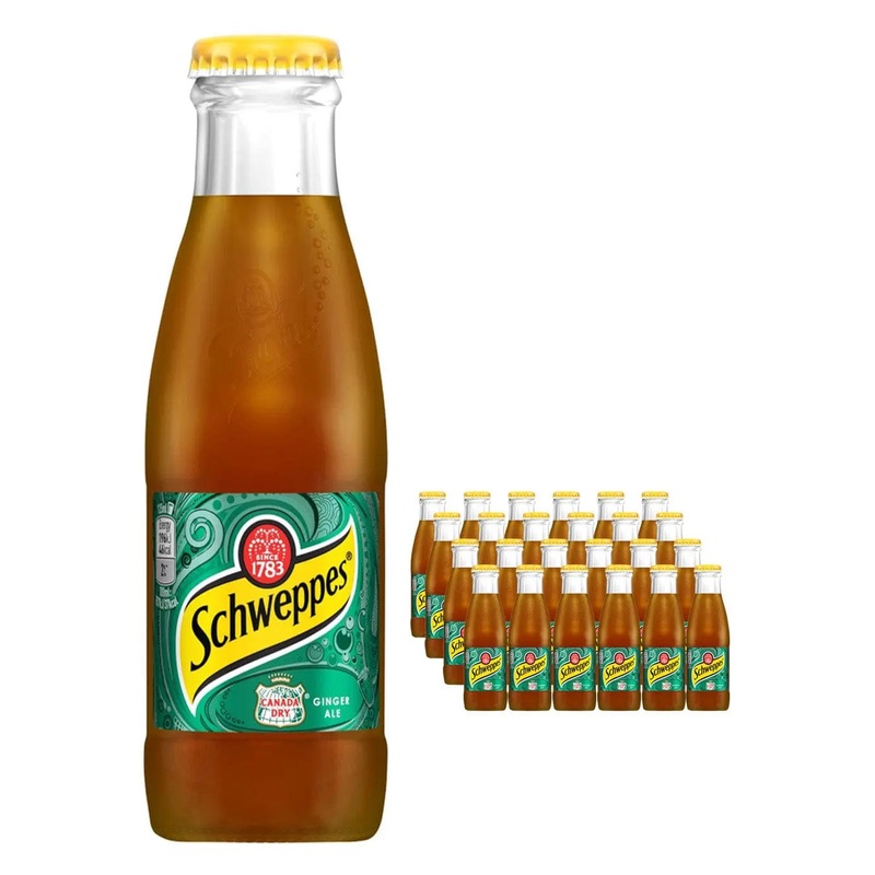 Schweppes Canadian Dry Ginger Ale Multipack, 24 x 125 ml