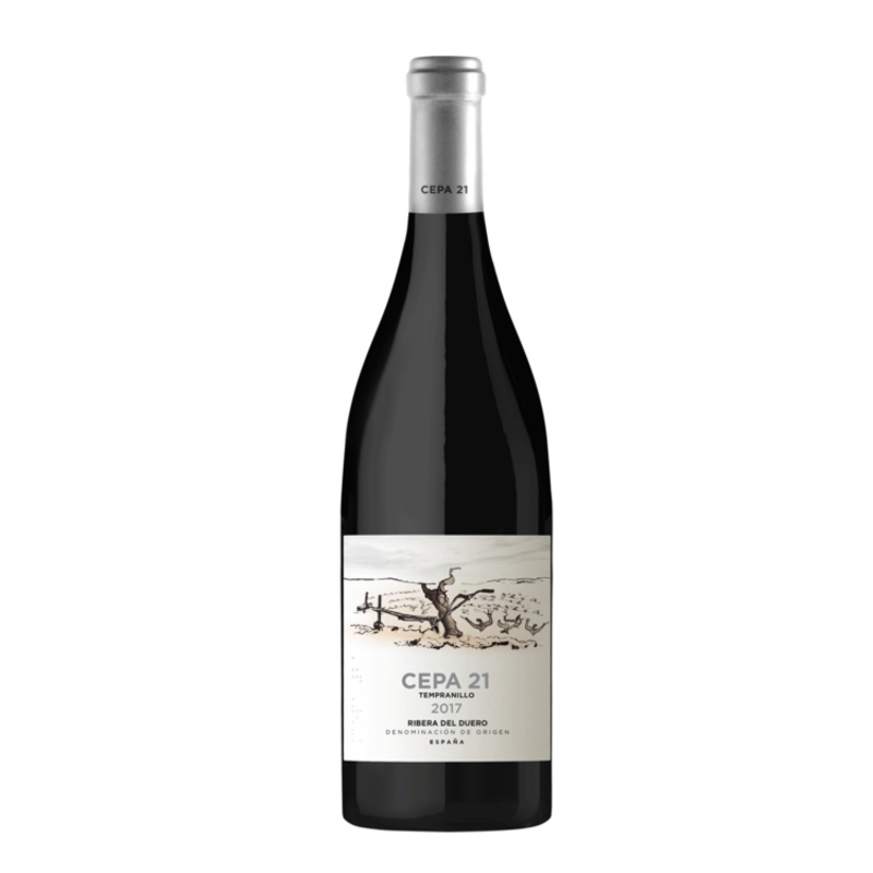 CEPA 21 RIBERA DEL DUERO 17