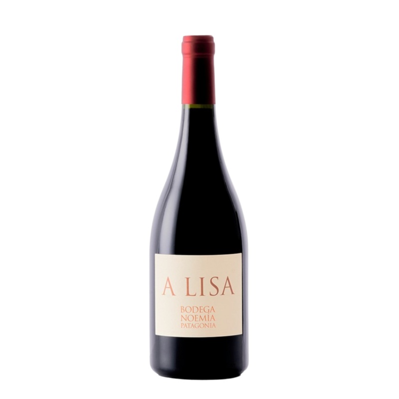 NOEMIA MALBEC A LISA 22