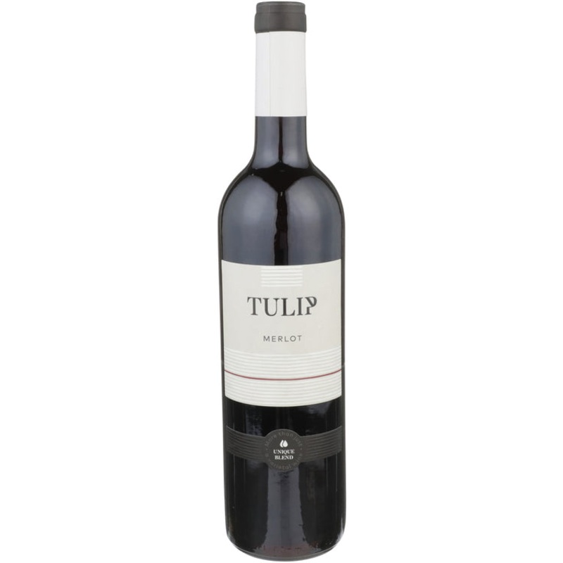 TULIP JUST MERLOT 21