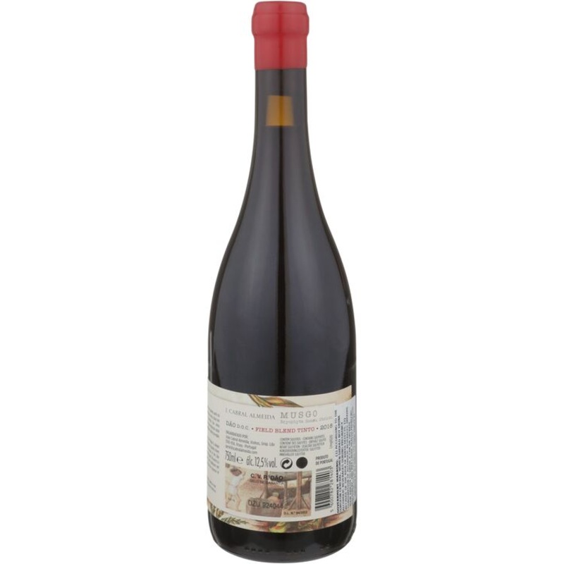 J CABRAL DAO MUSGO RSV TINTO 19