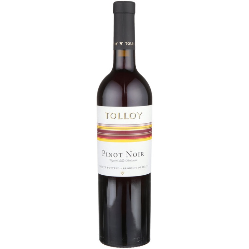 TOLLOY PINOT NOIR 21