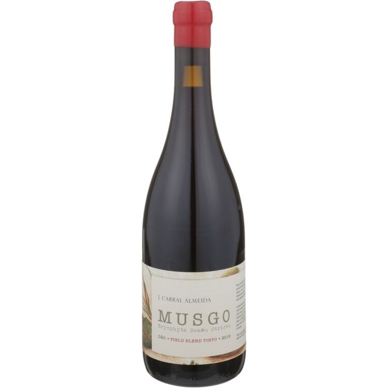 J CABRAL DAO MUSGOFIELD BL TINTO18