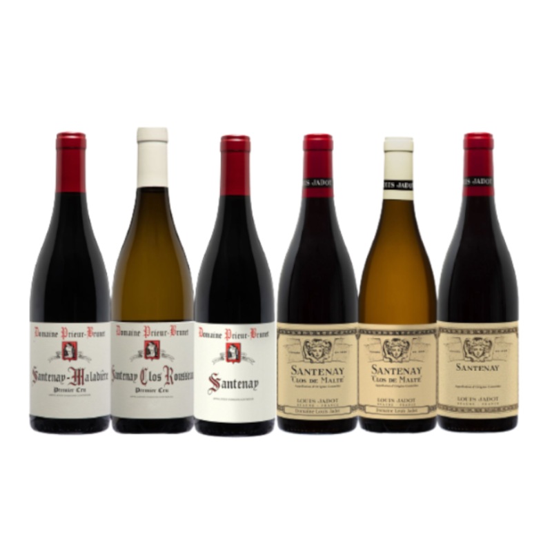 Louis Jadot Les Climats de Santenay 2018 750ml 6-Pack Vertical