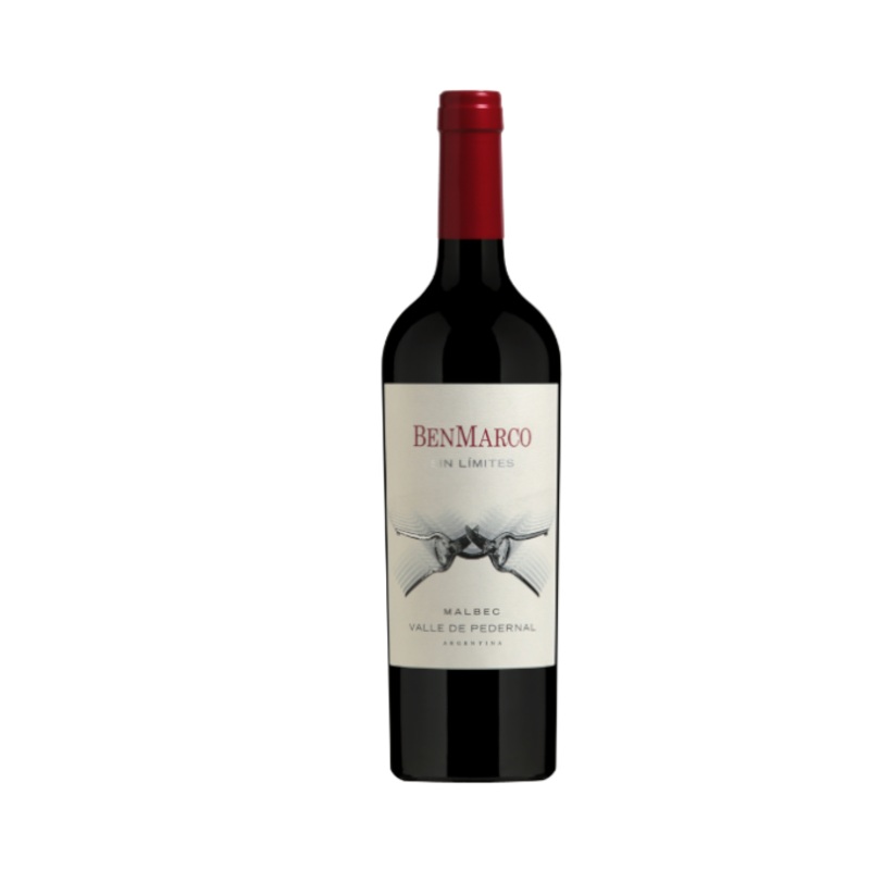 Susana Balbo BenMarco Sin Limites Malbec Gualtallary 750ml
