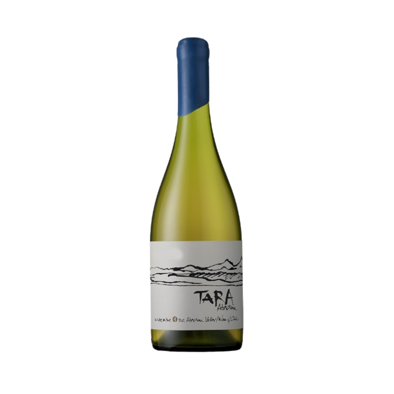 Ventisquero Tara Atacama Chard 2020 750ml