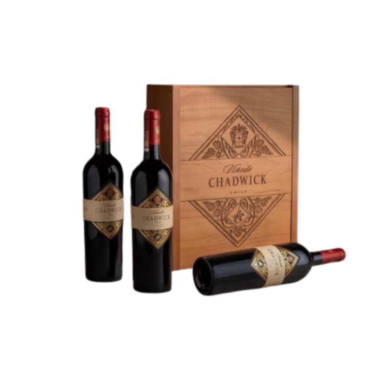 Vinedo Chadwick Vertical Library Edition 750ml