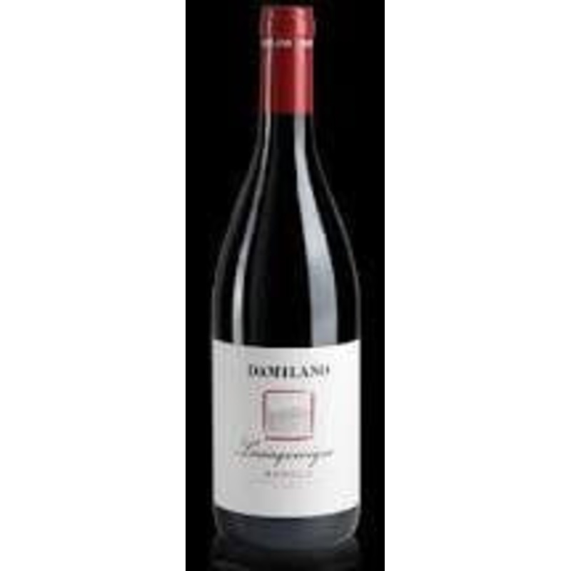 DAMILANO BAROLO 750ML