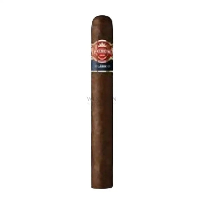 Punch London Club Maduro Petit Corona (5x40)