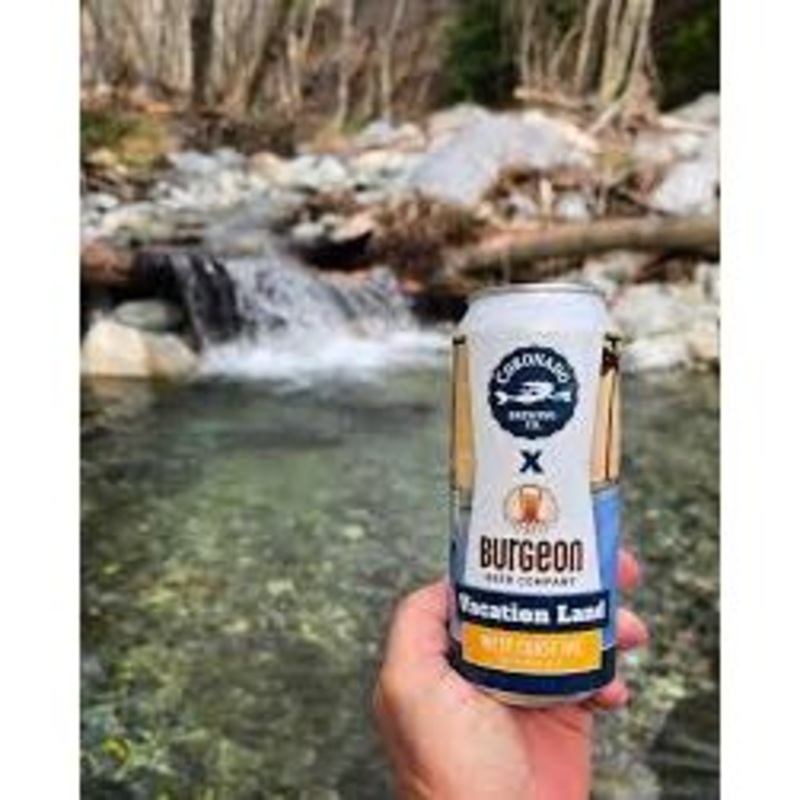 Coronado x Burgeon Vaction Land IPA 4pk